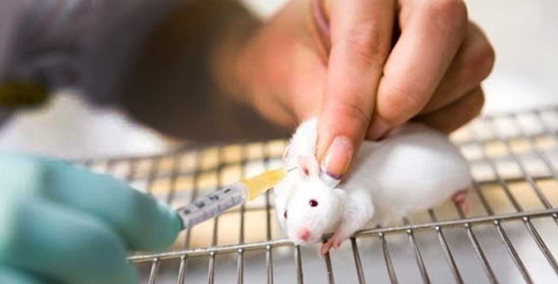 Quando se pensava que uma injeção poderia resolver a obesidade